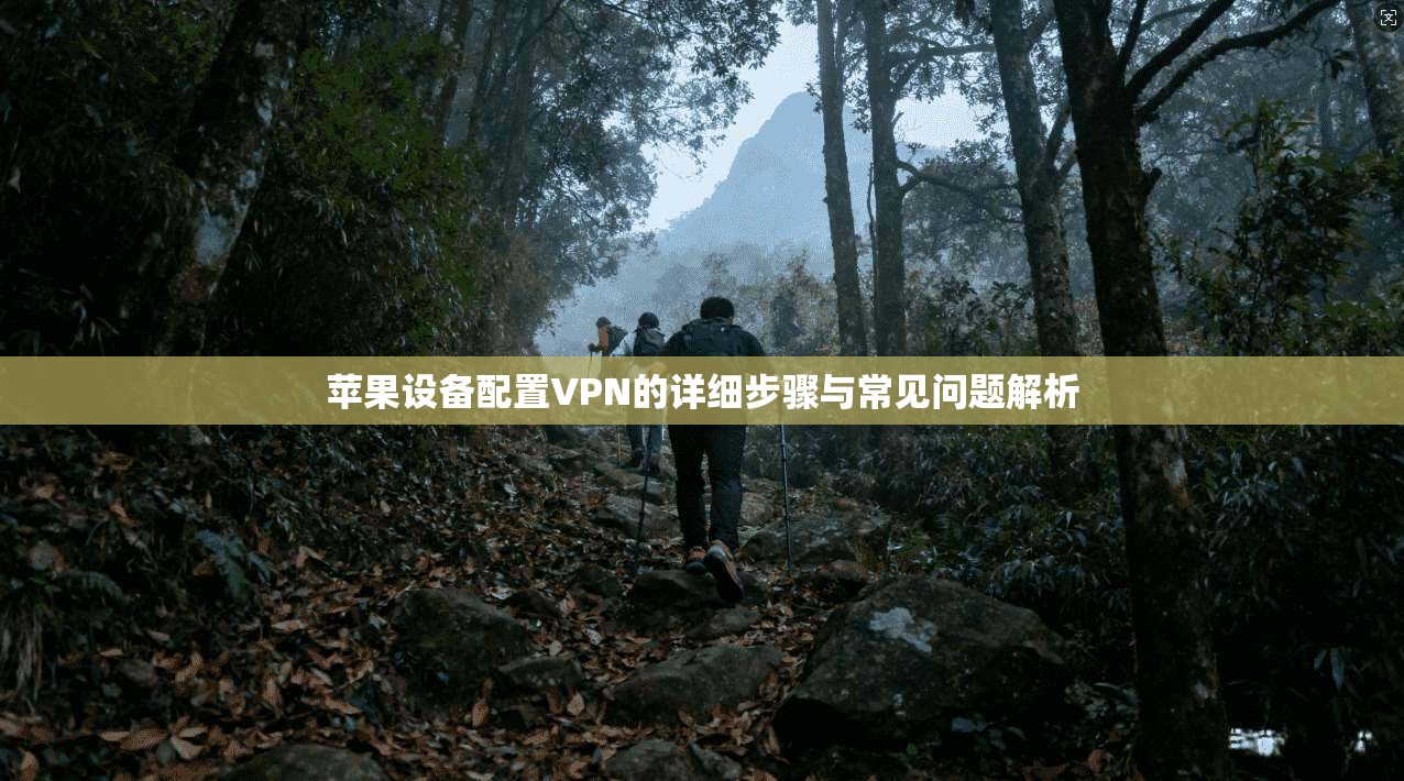 苹果设备配置VPN的详细步骤与常见问题解析