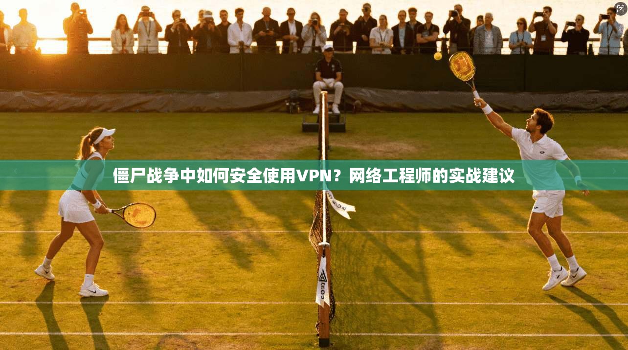 僵尸战争中如何安全使用VPN?网络工程师的实战建议