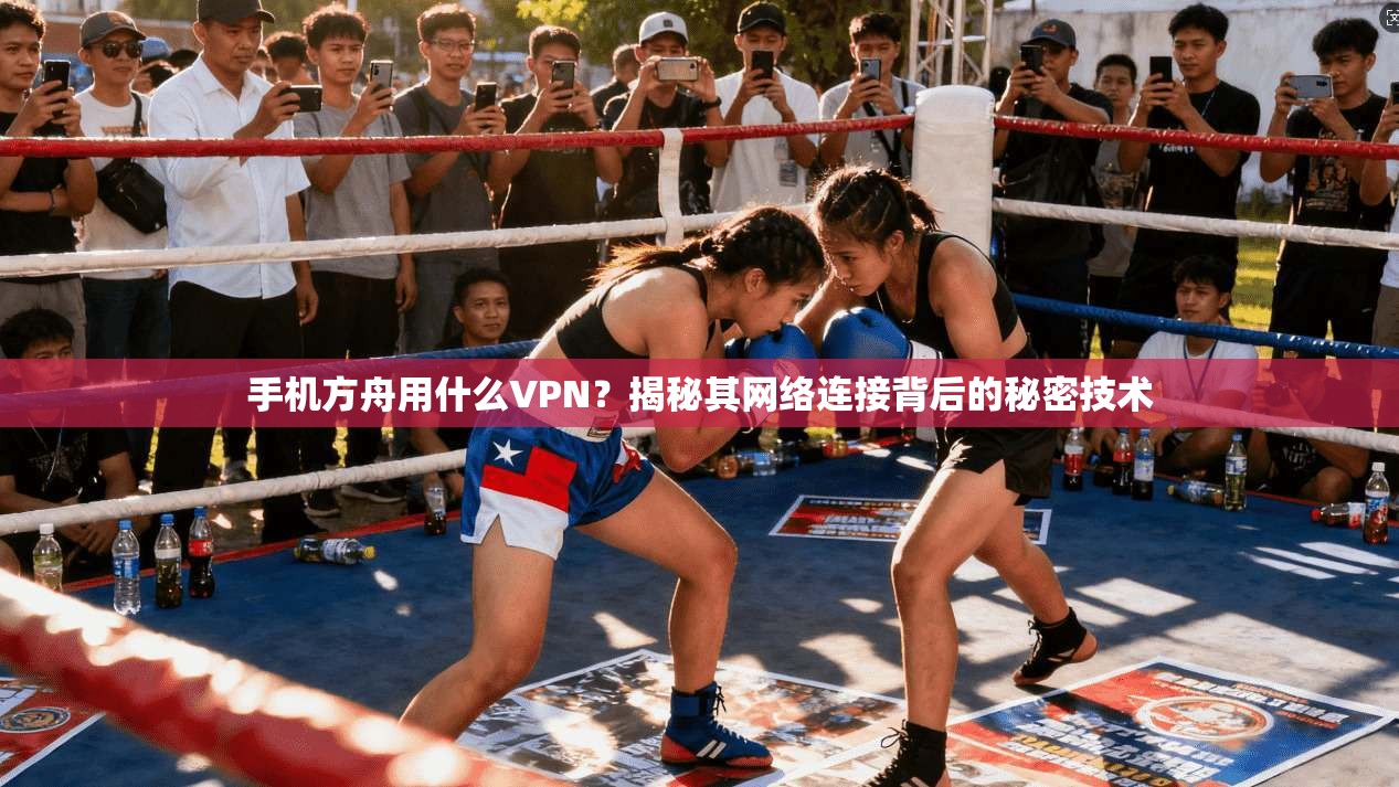 手机方舟用什么VPN?揭秘其网络连接背后的秘密技术