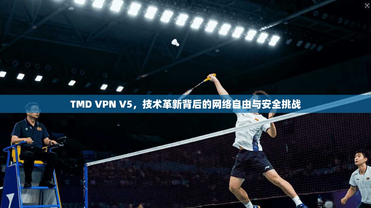 TMD VPN V5，技术革新背后的网络自由与安全挑战