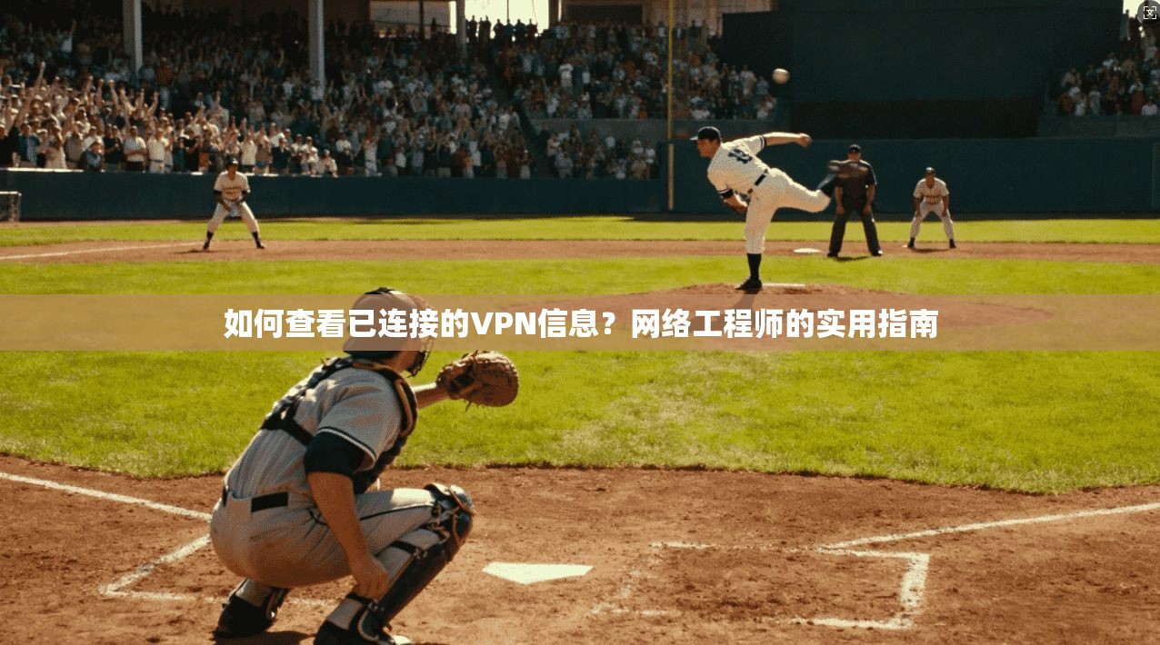 如何查看已连接的VPN信息？网络工程师的实用指南