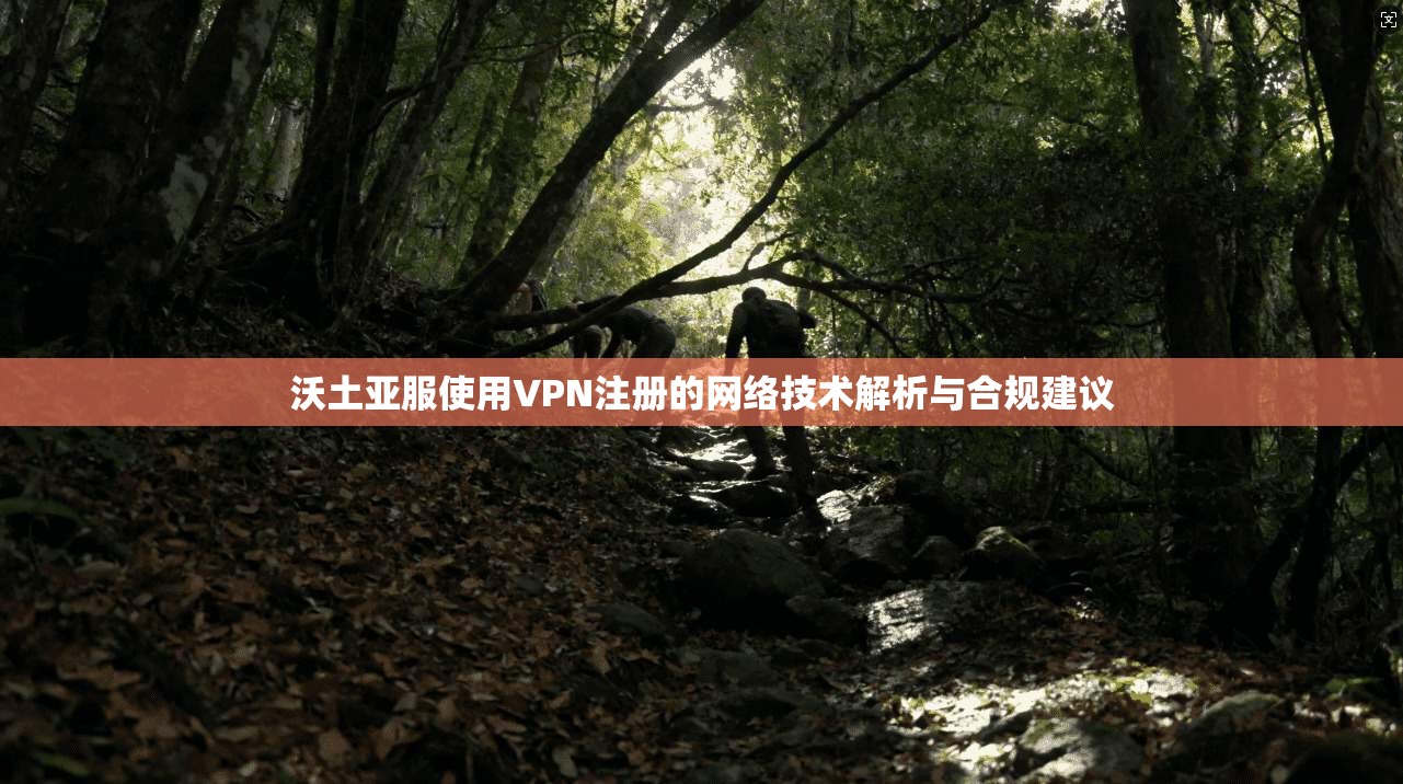 沃土亚服使用VPN注册的网络技术解析与合规建议