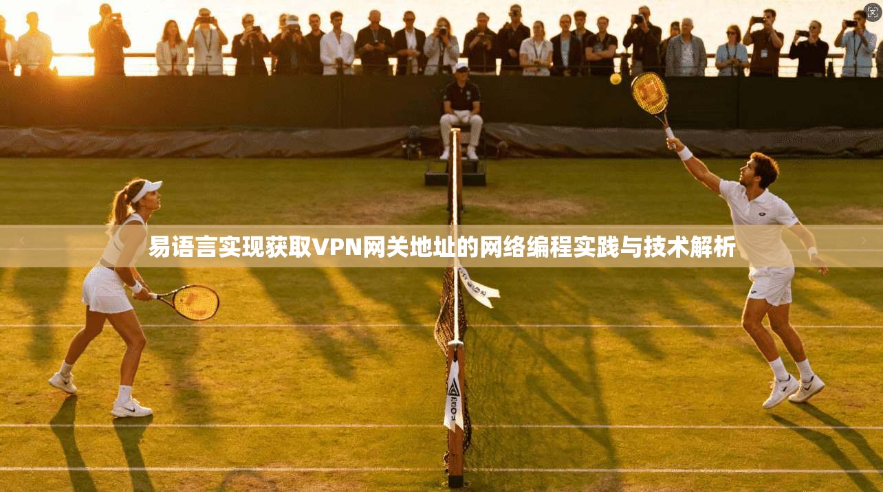易语言实现获取VPN网关地址的网络编程实践与技术解析
