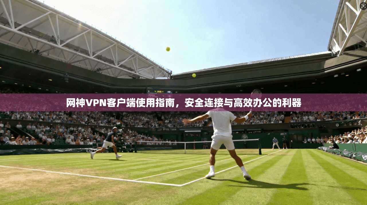 网神VPN客户端使用指南，安全连接与高效办公的利器