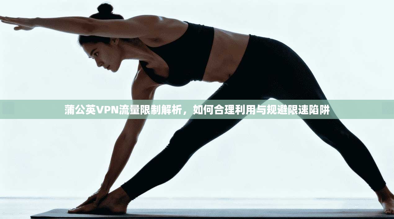 蒲公英VPN流量限制解析，如何合理利用与规避限速陷阱