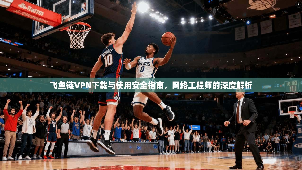 飞鱼链VPN下载与使用安全指南，网络工程师的深度解析