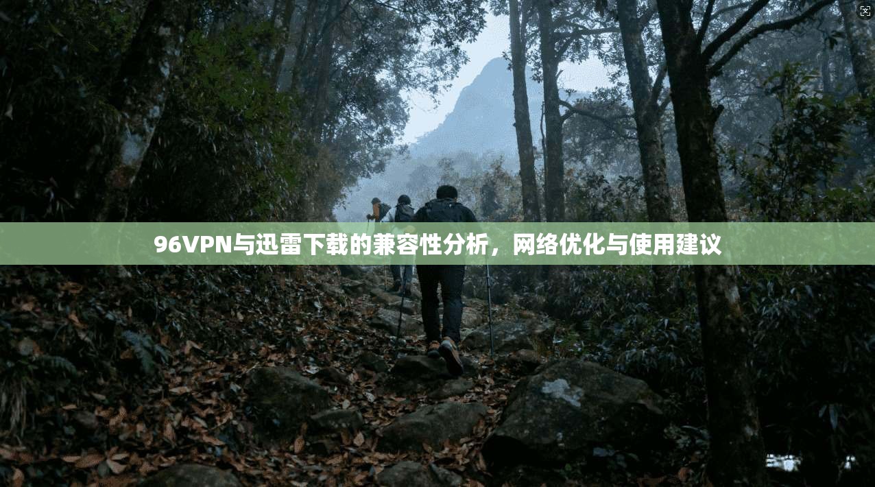 96VPN与迅雷下载的兼容性分析,网络优化与使用建议