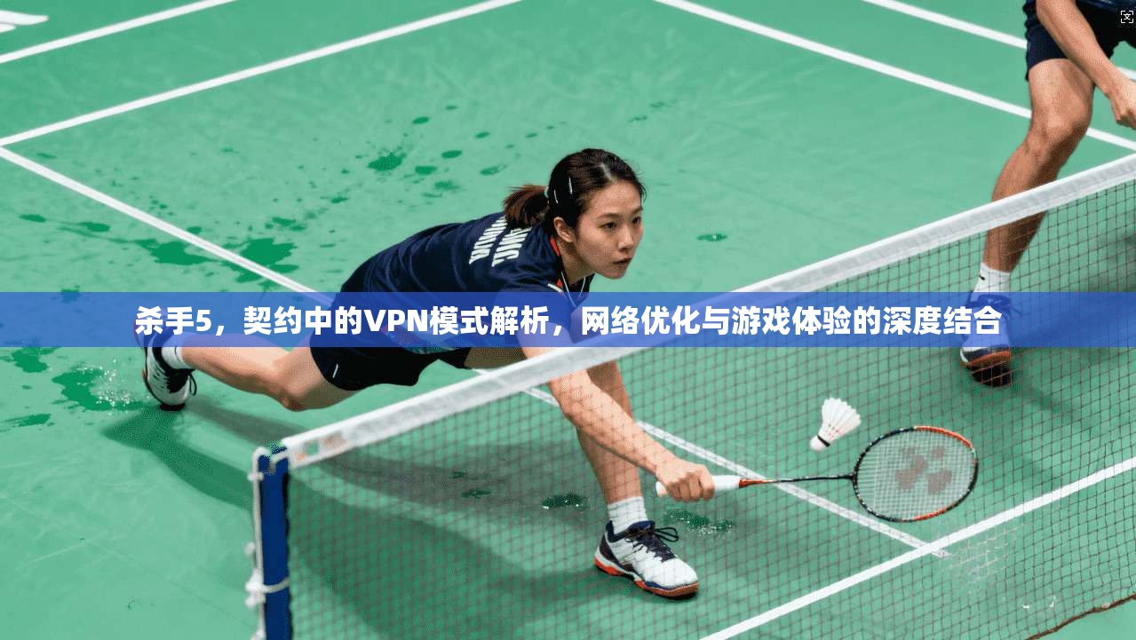 杀手5,契约中的VPN模式解析,网络优化与游戏体验的深度结合