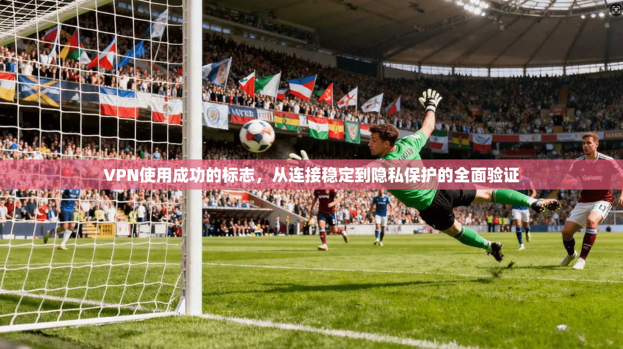 VPN使用成功的标志，从连接稳定到隐私保护的全面验证