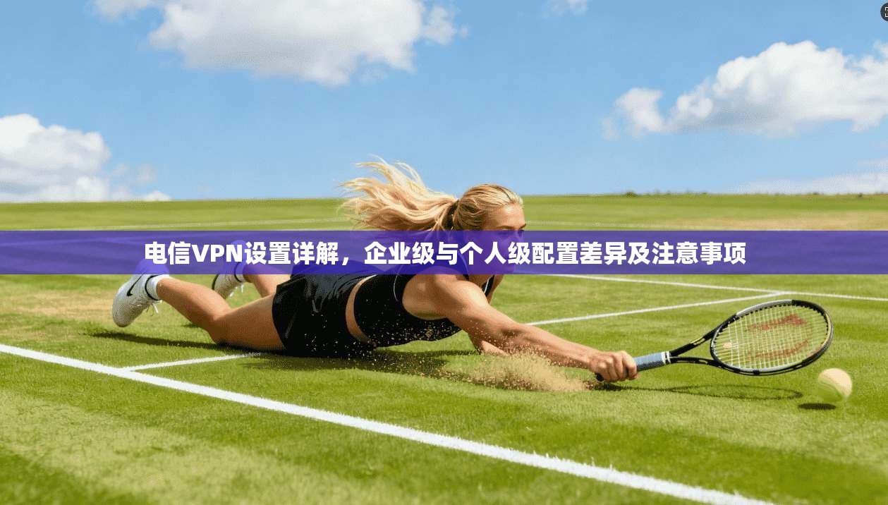 电信VPN设置详解，企业级与个人级配置差异及注意事项