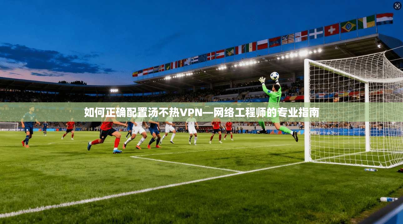 如何正确配置汤不热VPN—网络工程师的专业指南