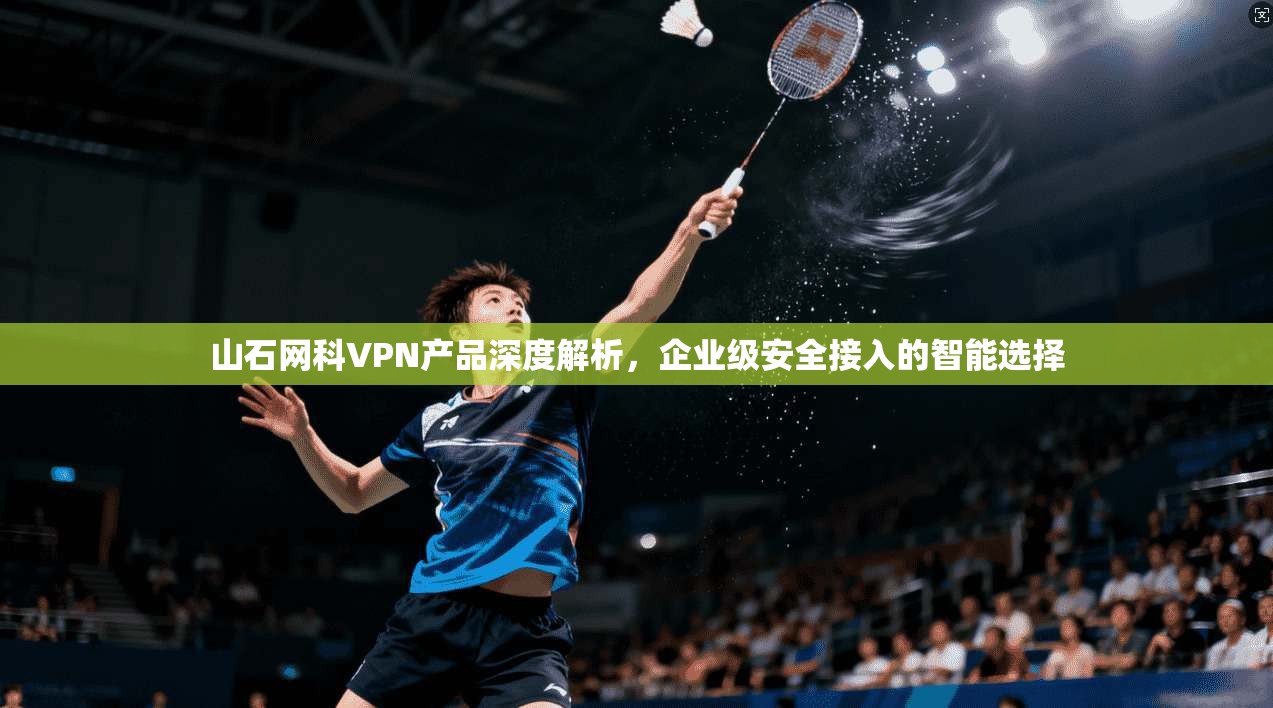 山石网科VPN产品深度解析，企业级安全接入的智能选择