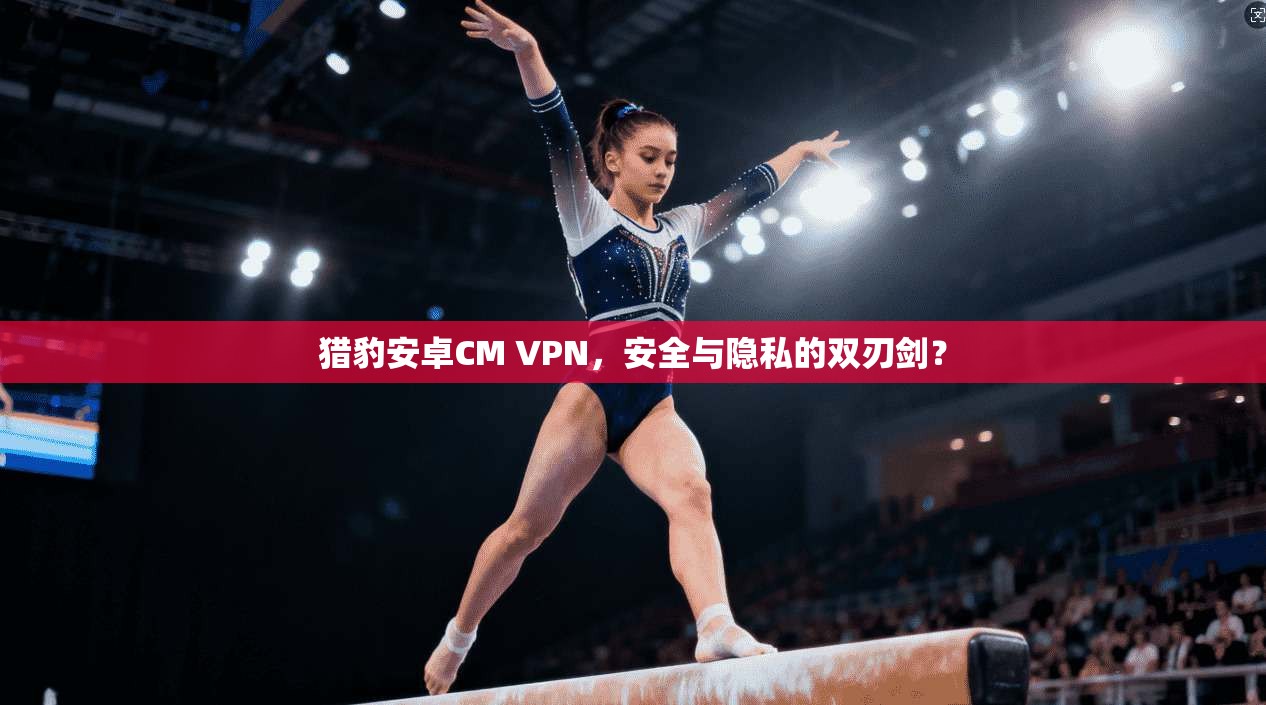 猎豹安卓CM VPN，安全与隐私的双刃剑？