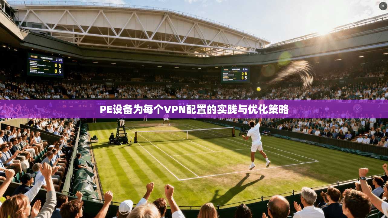 PE设备为每个VPN配置的实践与优化策略