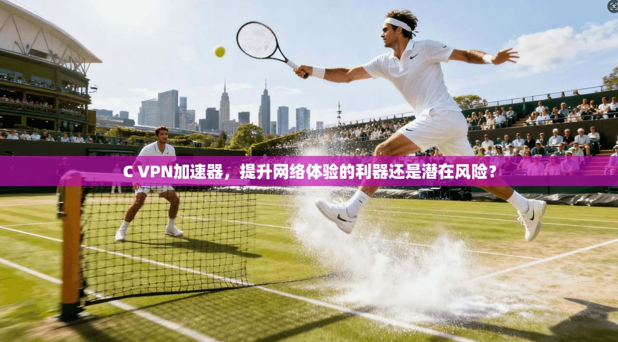C VPN加速器，提升网络体验的利器还是潜在风险？