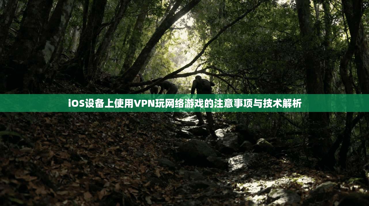 iOS设备上使用VPN玩网络游戏的注意事项与技术解析