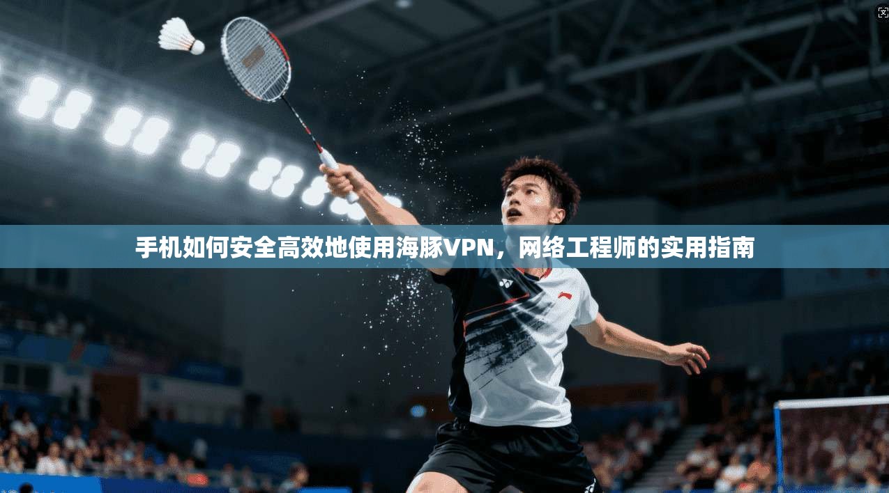 手机如何安全高效地使用海豚VPN,网络工程师的实用指南