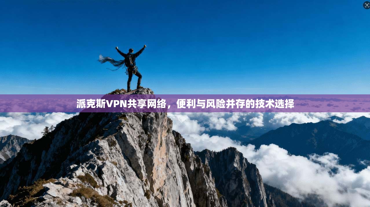 派克斯VPN共享网络,便利与风险并存的技术选择