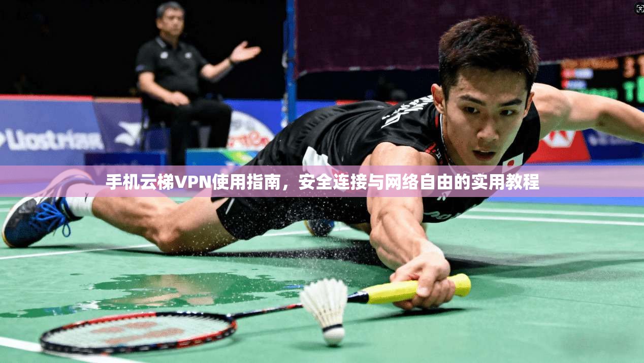 手机云梯VPN使用指南,安全连接与网络自由的实用教程