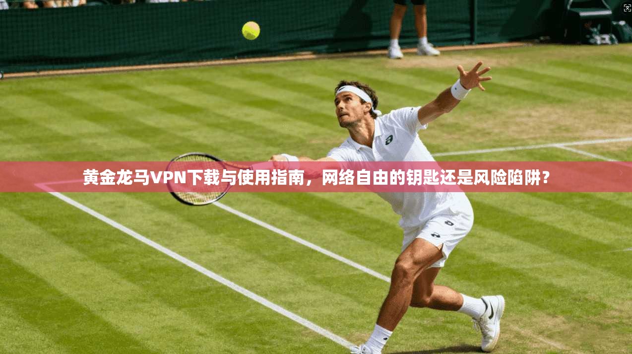 黄金龙马VPN下载与使用指南,网络自由的钥匙还是风险陷阱? 黄金龙马VPN下载与使用指南,网络自由的钥匙还是风险陷阱?