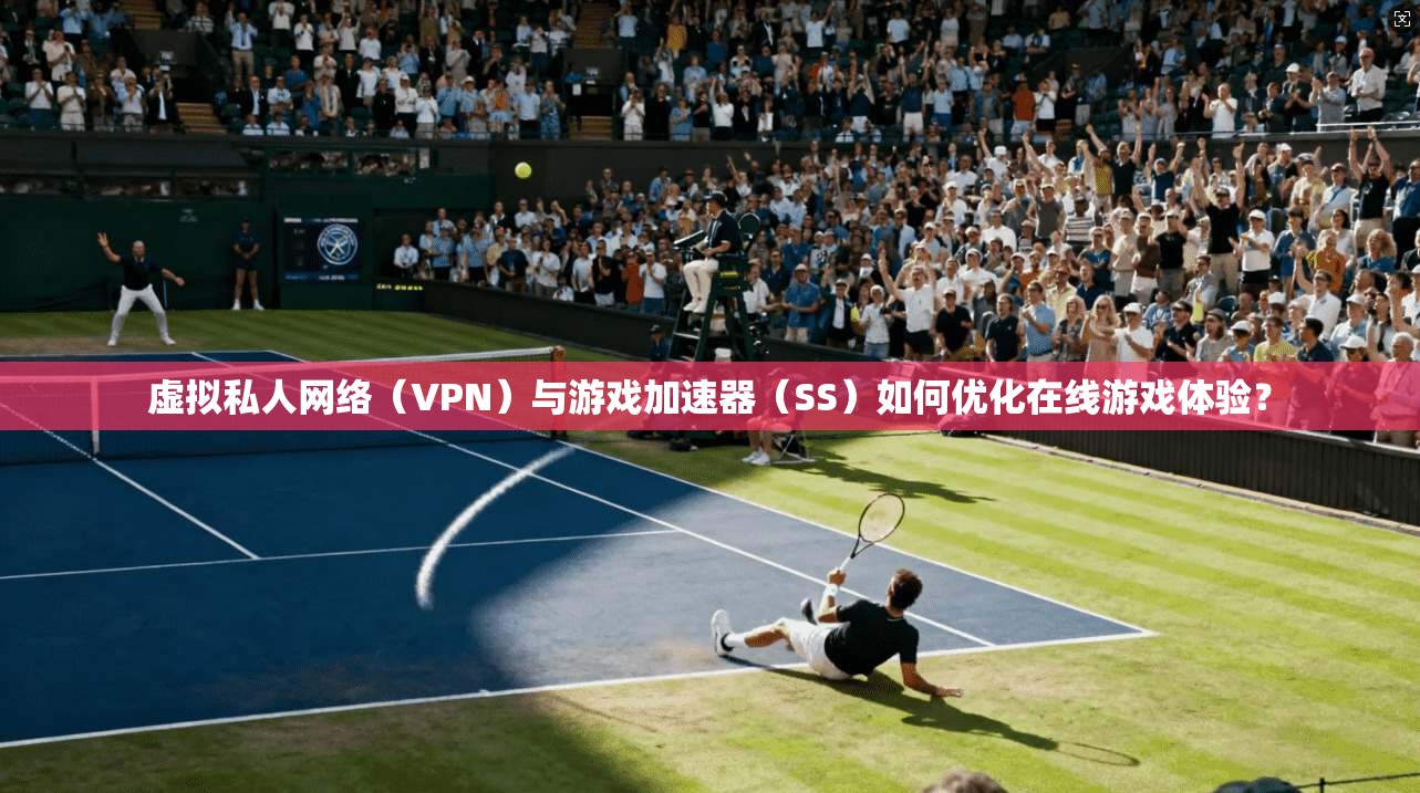虚拟私人网络（VPN）与游戏加速器（SS）如何优化在线游戏体验？