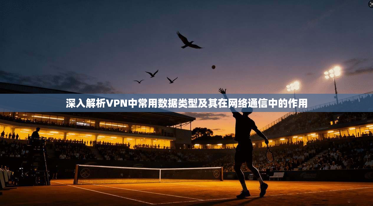 深入解析VPN中常用数据类型及其在网络通信中的作用