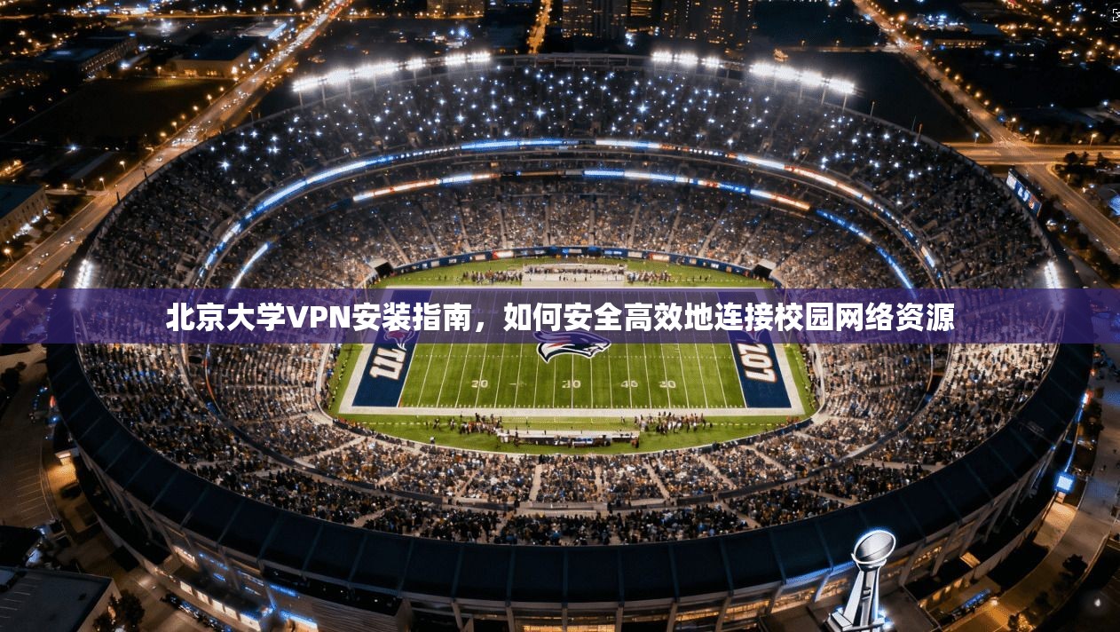 北京大学VPN安装指南，如何安全高效地连接校园网络资源