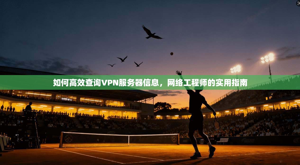 如何高效查询VPN服务器信息，网络工程师的实用指南
