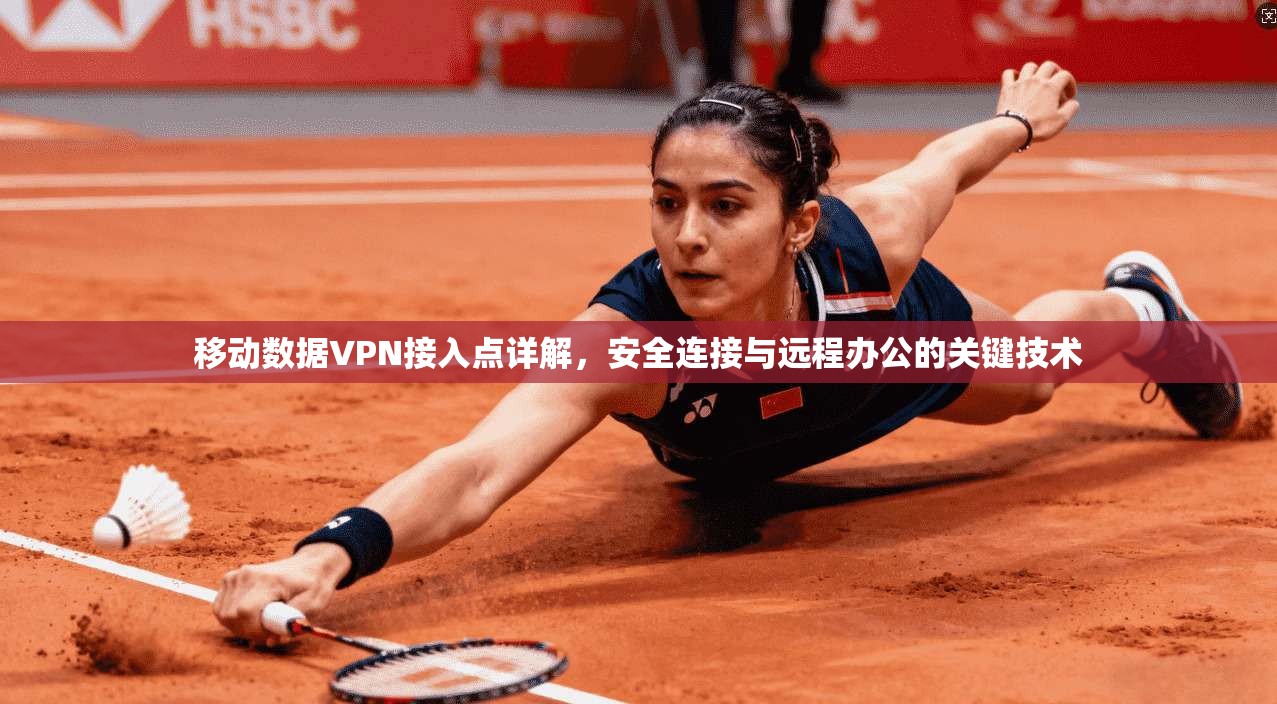 移动数据VPN接入点详解，安全连接与远程办公的关键技术