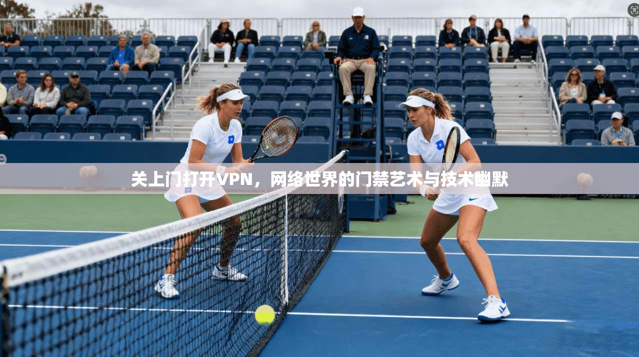 关上门打开VPN，网络世界的门禁艺术与技术幽默