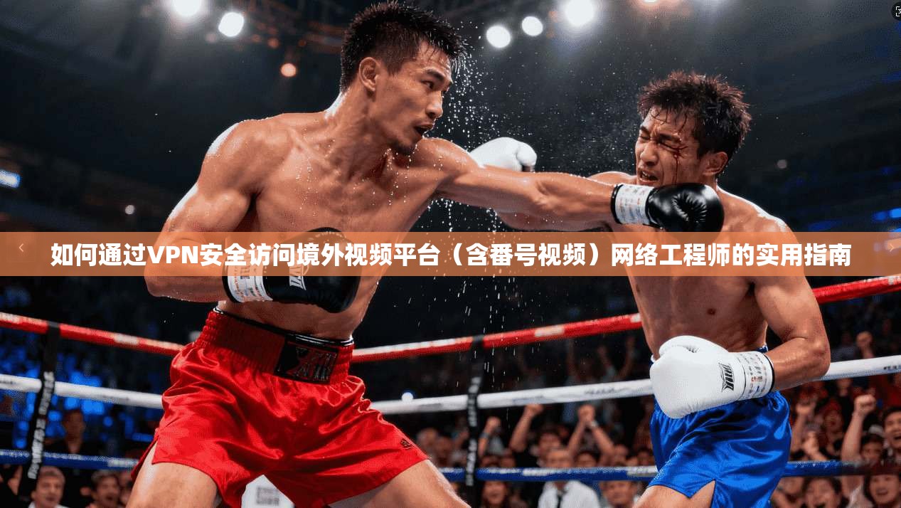如何通过VPN安全访问境外视频平台（含番号视频）网络工程师的实用指南