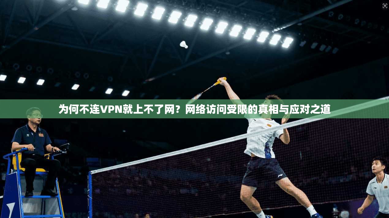 为何不连VPN就上不了网?网络访问受限的真相与应对之道