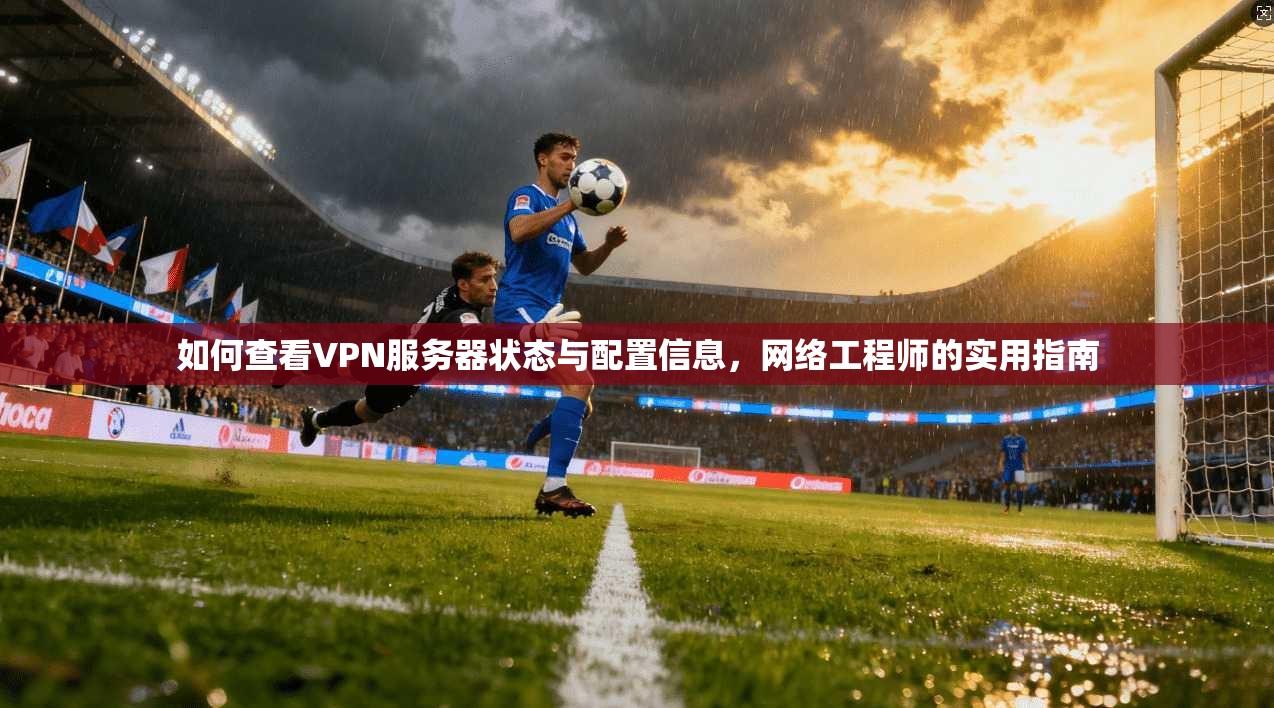 如何查看VPN服务器状态与配置信息,网络工程师的实用指南