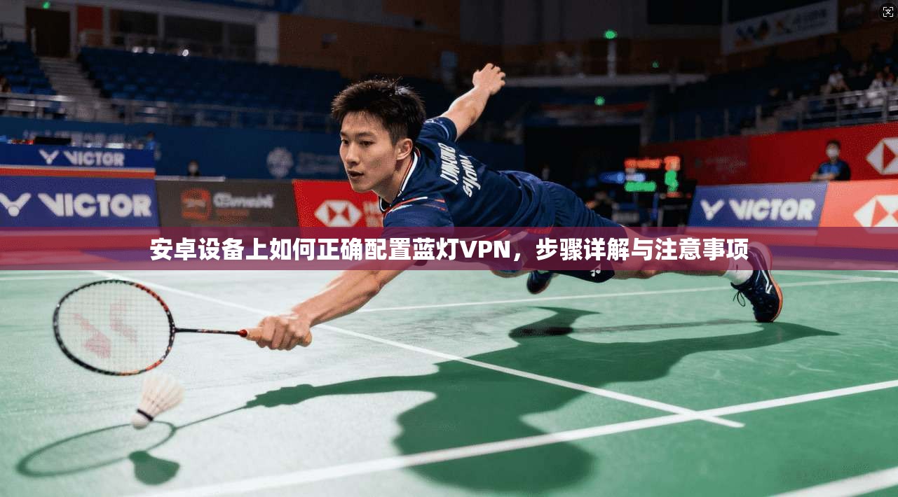 安卓设备上如何正确配置蓝灯VPN,步骤详解与注意事项