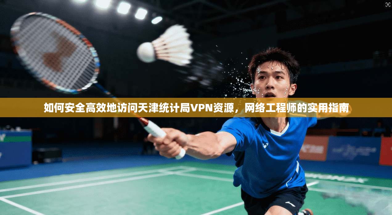 如何安全高效地访问天津统计局VPN资源，网络工程师的实用指南