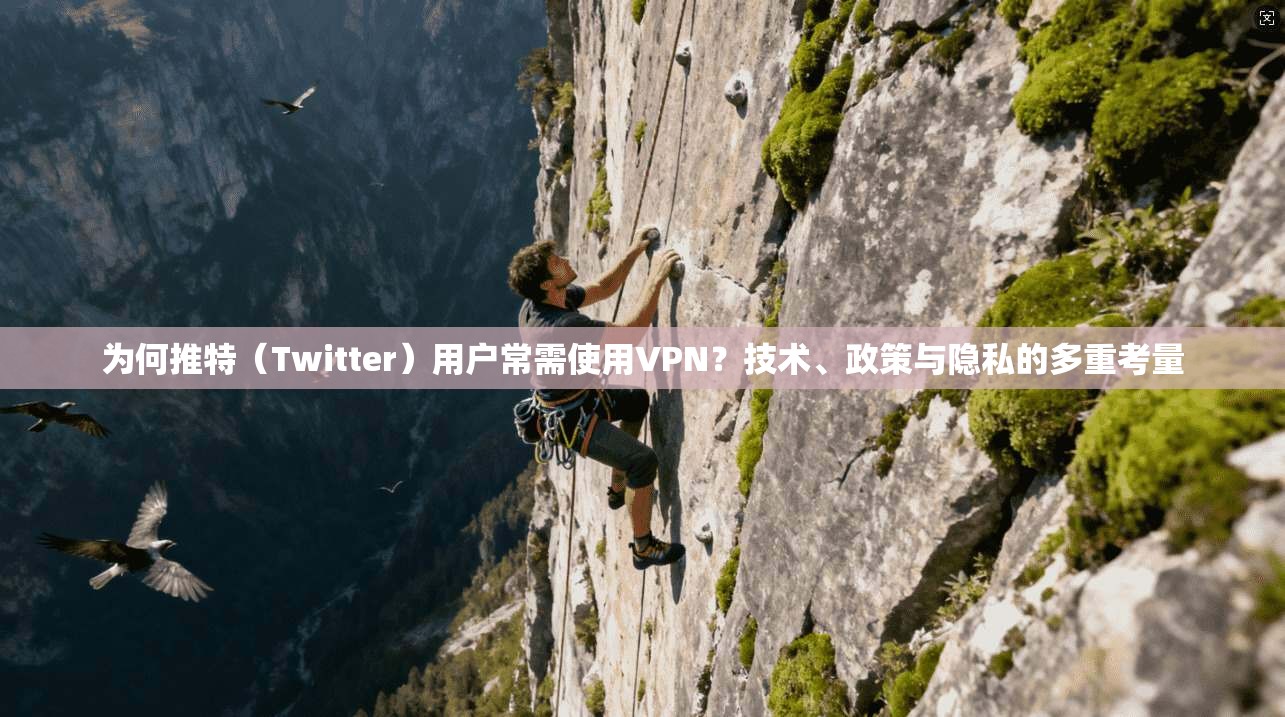 为何推特(Twitter)用户常需使用VPN?技术、政策与隐私的多重考量