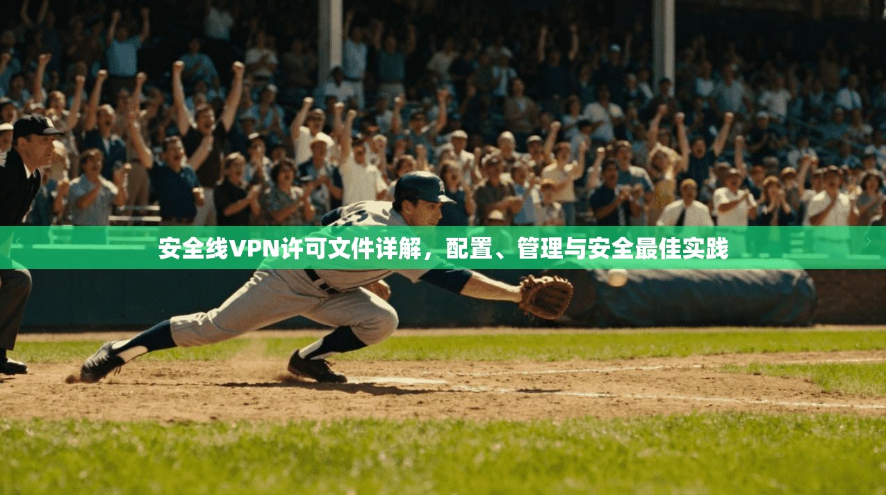 安全线VPN许可文件详解，配置、管理与安全最佳实践