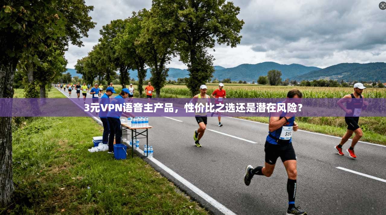3元VPN语音主产品，性价比之选还是潜在风险？