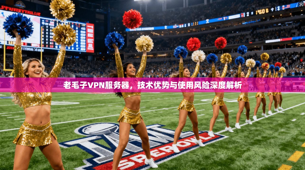 老毛子VPN服务器，技术优势与使用风险深度解析