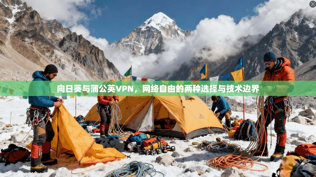 向日葵与蒲公英VPN，网络自由的两种选择与技术边界