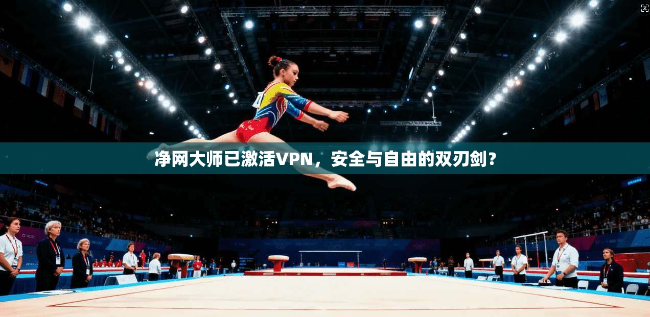 净网大师已激活VPN,安全与自由的双刃剑?