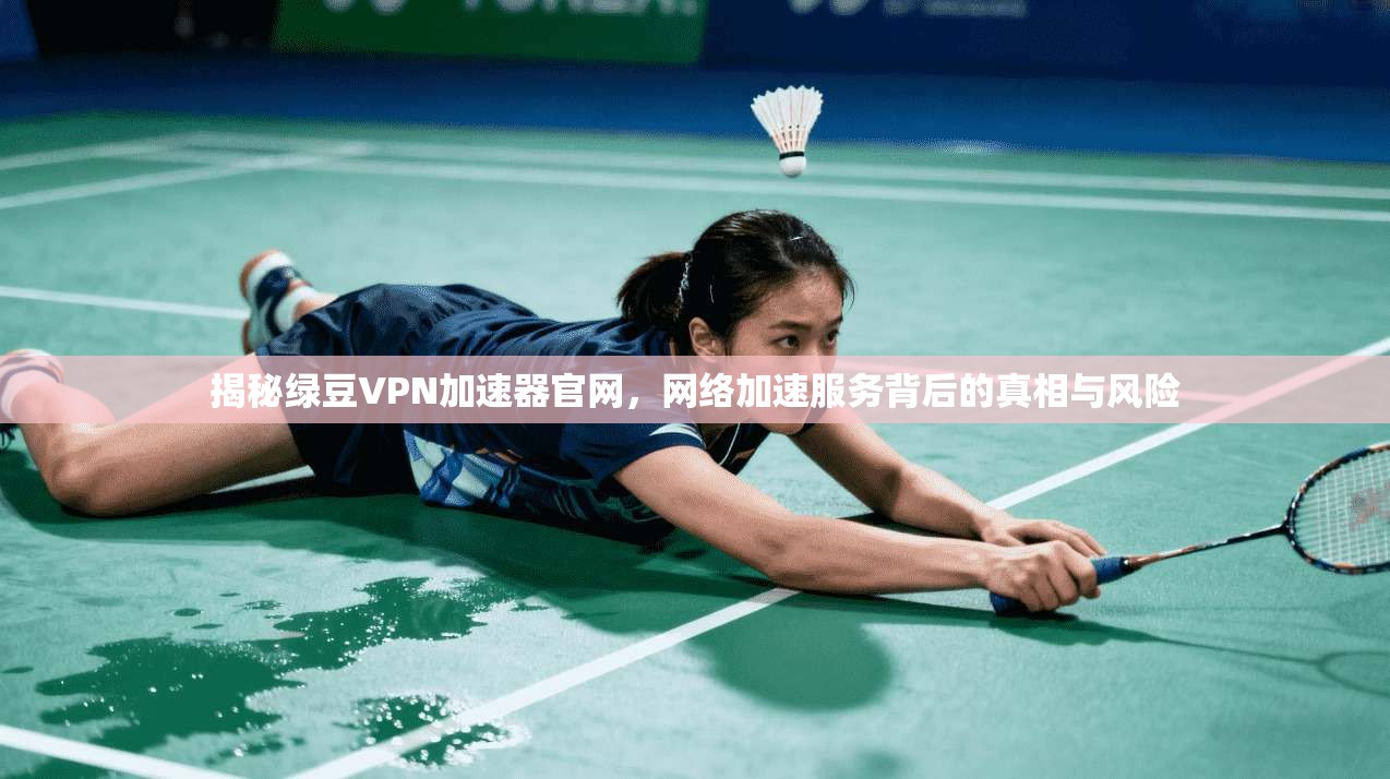 揭秘绿豆VPN加速器官网,网络加速服务背后的真相与风险