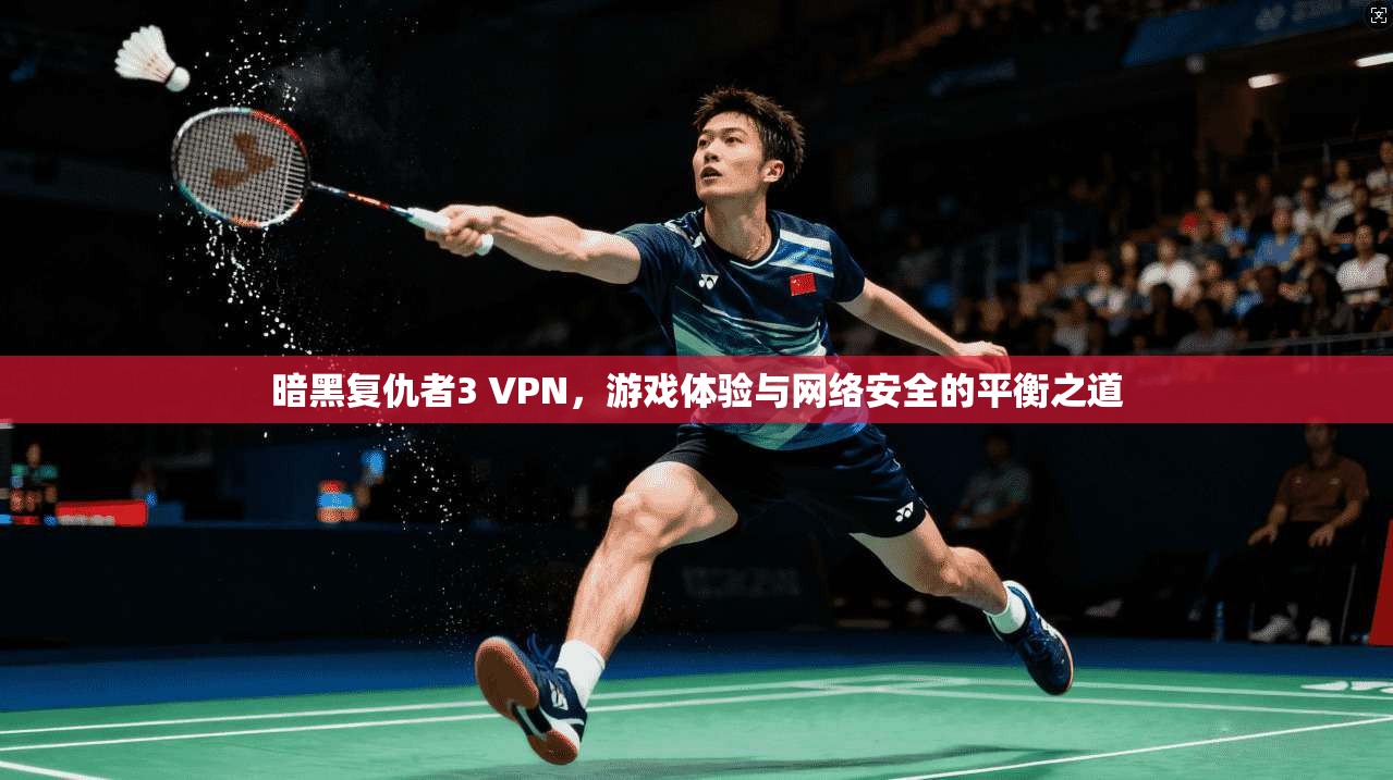 暗黑复仇者3 VPN,游戏体验与网络安全的平衡之道