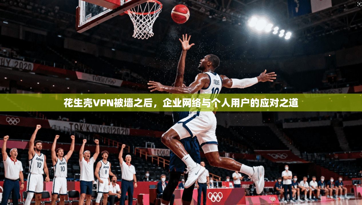 花生壳VPN被墙之后，企业网络与个人用户的应对之道