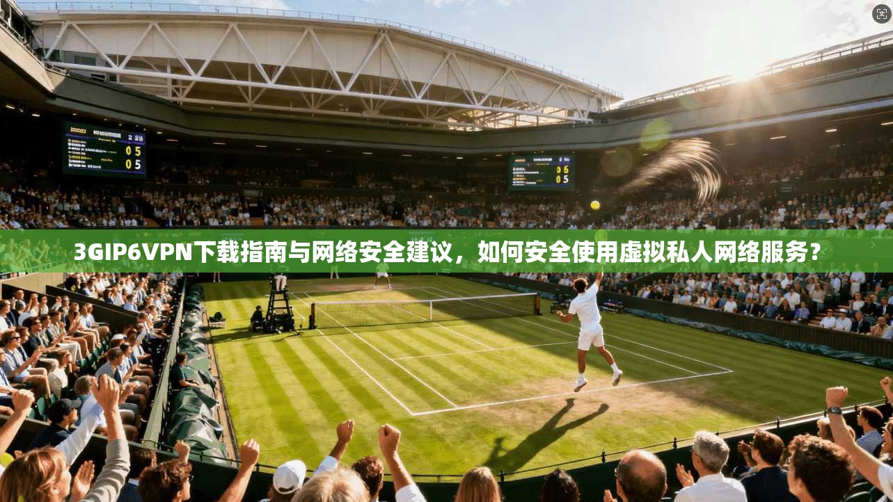 3GIP6VPN下载指南与网络安全建议，如何安全使用虚拟私人网络服务？