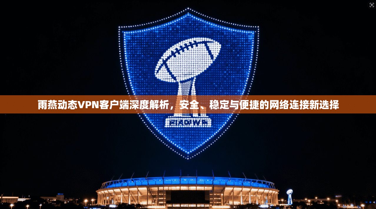 雨燕动态VPN客户端深度解析，安全、稳定与便捷的网络连接新选择