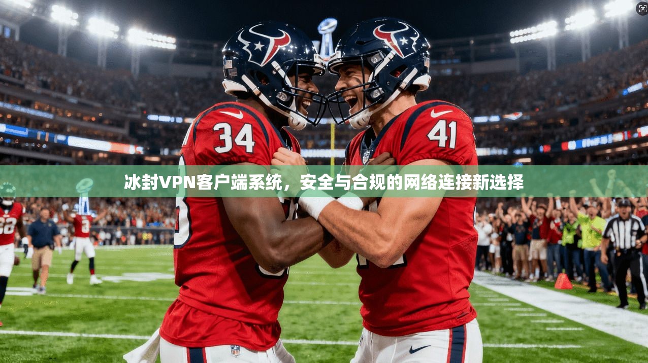 冰封VPN客户端系统,安全与合规的网络连接新选择