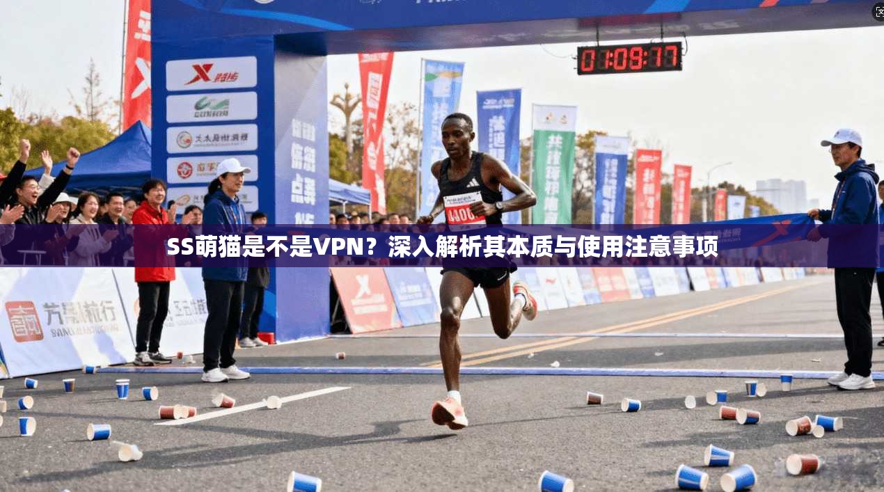 SS萌猫是不是VPN？深入解析其本质与使用注意事项