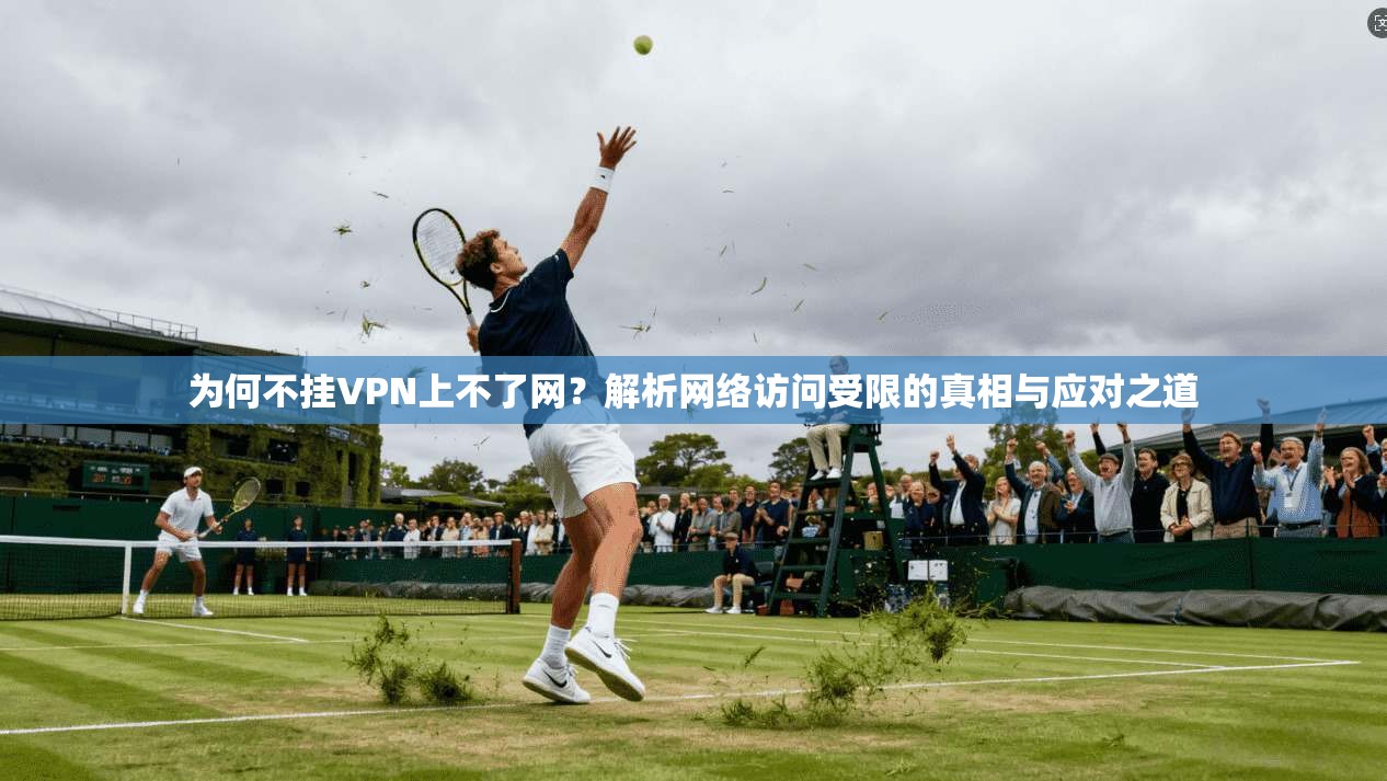 为何不挂VPN上不了网？解析网络访问受限的真相与应对之道