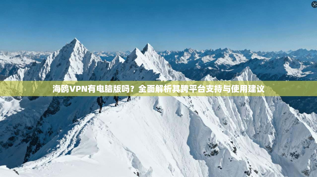 海鸥VPN有电脑版吗？全面解析其跨平台支持与使用建议